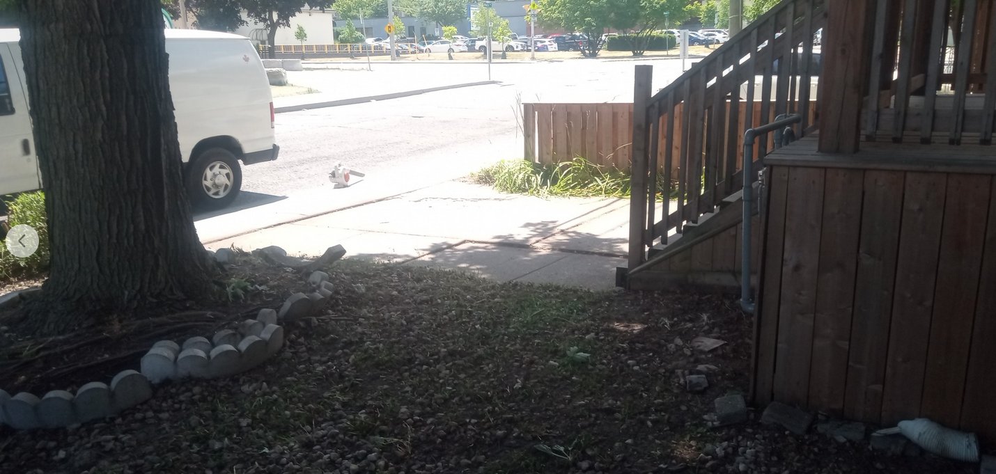 Machado Lawn and Yard Services Hamilton